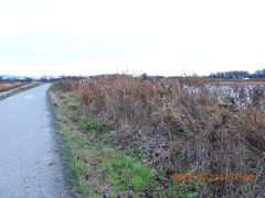 DSCN1236.JPG