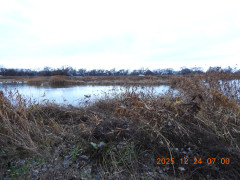 DSCN1237.JPG