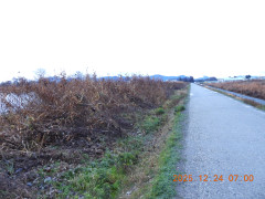 DSCN1238.JPG