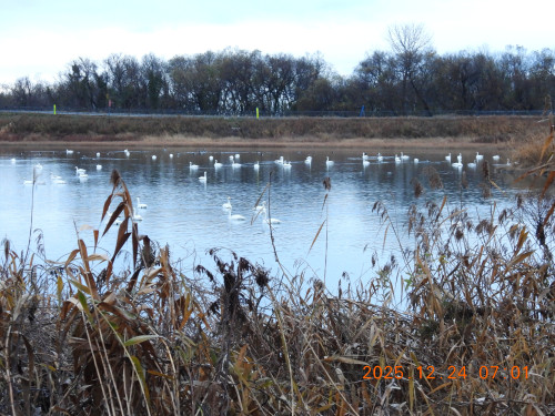 DSCN1239.JPG