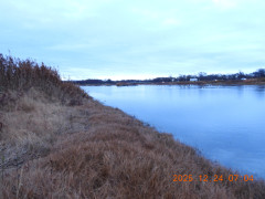 DSCN1240.JPG