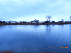 DSCN1241.JPG