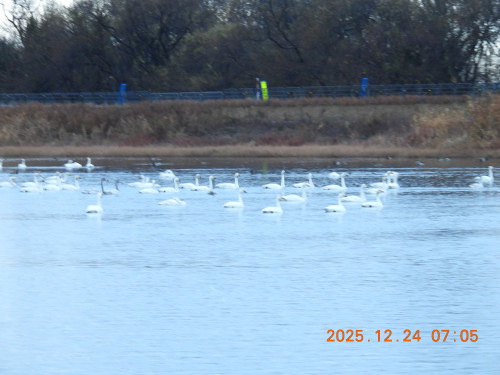 DSCN1243.JPG