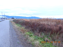 DSCN1244.JPG