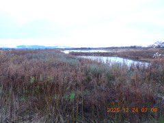 DSCN1245.JPG