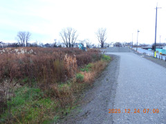 DSCN1246.JPG