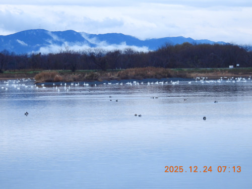 DSCN1249.JPG