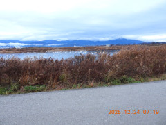 DSCN1254.JPG