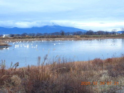 DSCN1257.JPG