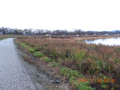 DSCN1259.JPG