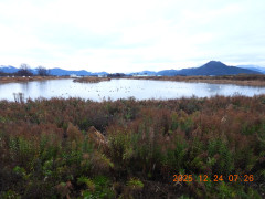 DSCN1260.JPG