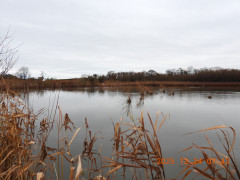 DSCN1264.JPG
