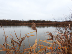 DSCN1265.JPG