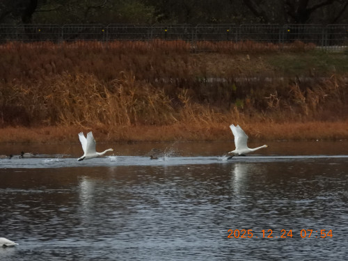 DSCN1301.JPG