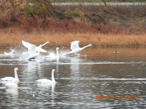 DSCN1334.JPG