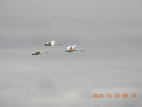 DSCN1338.JPG