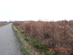 DSCN1339.JPG