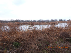 DSCN1340.JPG