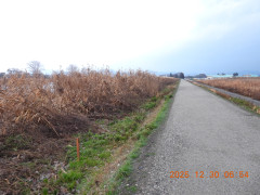 DSCN1341.JPG