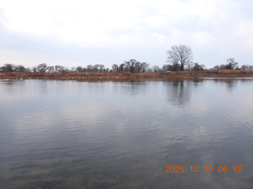 DSCN1344.JPG