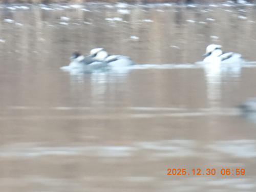 DSCN1347.JPG