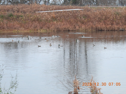 DSCN1356.JPG