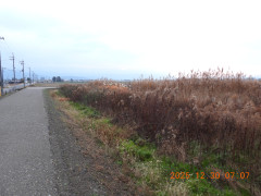 DSCN1357.JPG