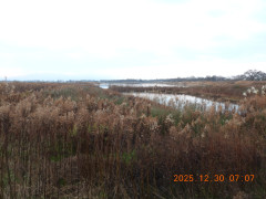 DSCN1358.JPG