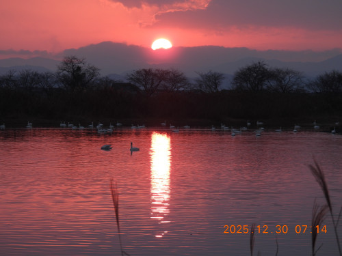 DSCN1365.JPG