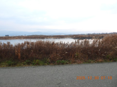 DSCN1368.JPG