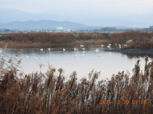 DSCN1370.JPG