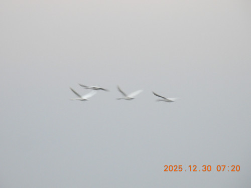 DSCN1371.JPG