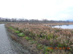 DSCN1372.JPG