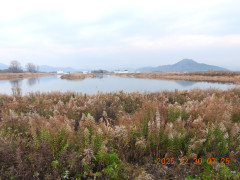 DSCN1373.JPG