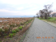 DSCN1374.JPG