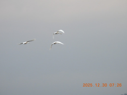 DSCN1377.JPG