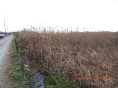 DSCN1380.JPG