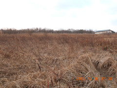 DSCN1381.JPG
