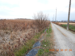 DSCN1382.JPG