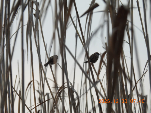 DSCN1383.JPG