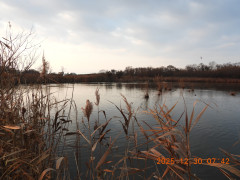 DSCN1384.JPG