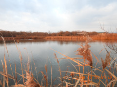 DSCN1385.JPG