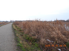 DSCN1400.JPG