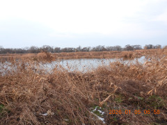DSCN1401.JPG