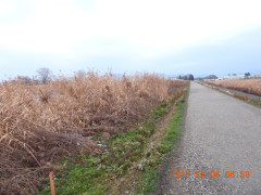DSCN1402.JPG