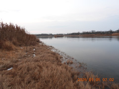 DSCN1405.JPG