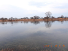 DSCN1406.JPG