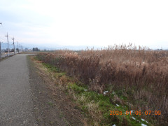DSCN1415.JPG