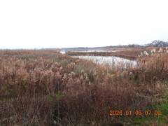 DSCN1416.JPG