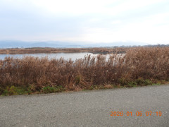 DSCN1424.JPG